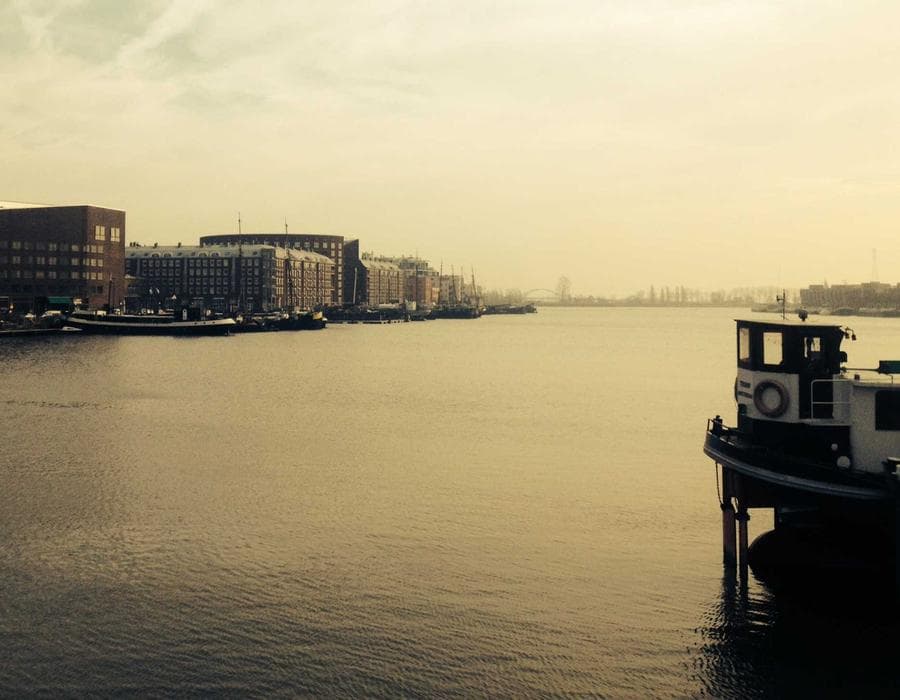 Vogue Low-Back Dining Chair