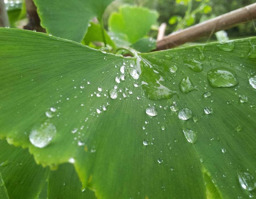 Luminous Taper Candle Suite