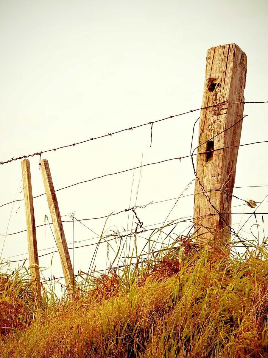 Styled Shoots event vignette