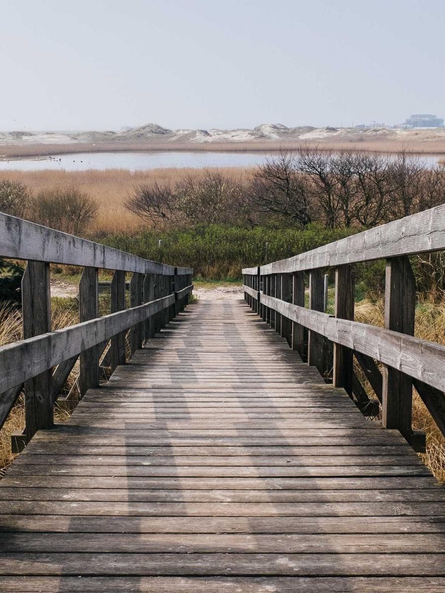 Weddings event vignette