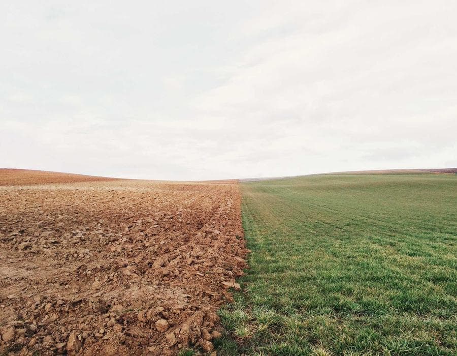 Napa Glow Lantern Cluster